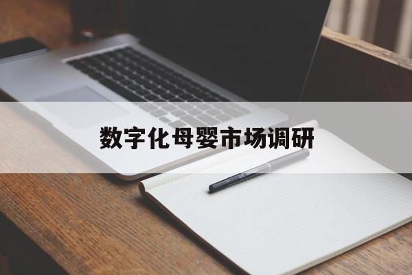 滨州市数字化母婴市场调研(数字化母婴市场调研报告)